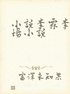 小说李霖李澜官场小说封面