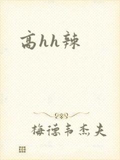 高hh辣