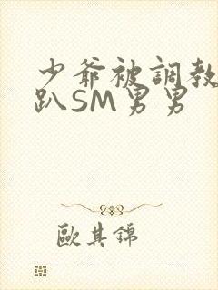 少爷被调教室跪趴SM男男
