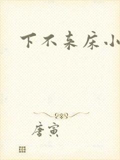 下不来床小说