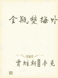 金瓶双梅外传