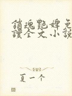 销魂艳婢免费阅读全文小说