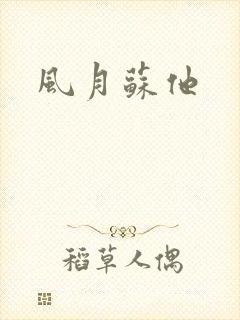 风月苏他
