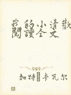 我的小清欢阅读阅读全文