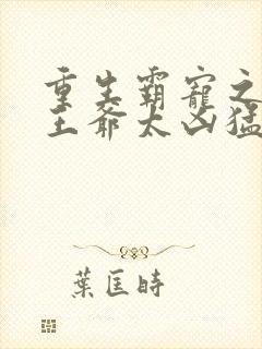 重生霸宠之摄政王爷太凶猛