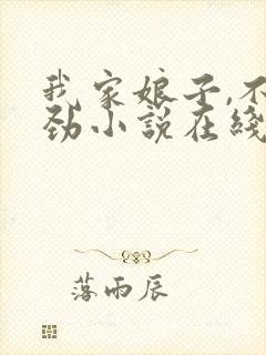 我家娘子,不对劲小说在线阅读封面