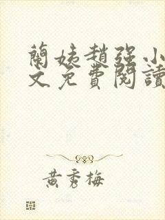 兰姨赵强小说全文免费阅读封面