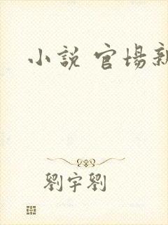 小说 官场新贵