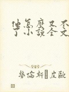 他怎么又不是人了小说全文免费阅读封面
