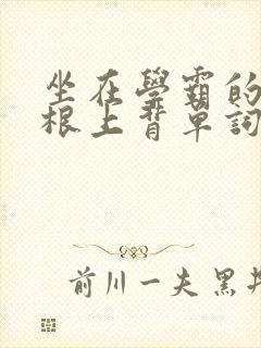 坐在学霸的大紫根上背单词封面