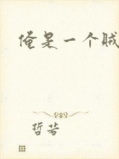 俺是一个贼