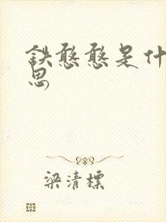 铁憨憨是什么意思