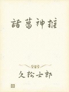 诸葛神推封面