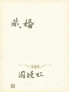 藏婚封面