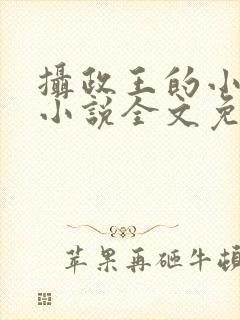 摄政王的小奶娘小说全文免费阅读
