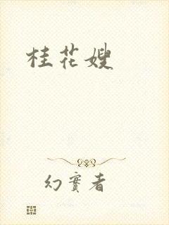 桂花嫂封面