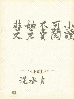 非她不可小说全文免费阅读封面