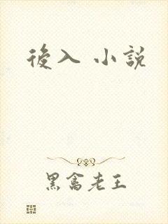 后入 小说封面
