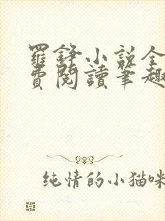 罗铮小说全文免费阅读笔趣阁
