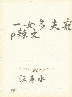 一女多夫宠文np辣文封面