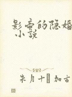 影帝的隐婚妻子 小说