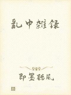 乱中杂录封面