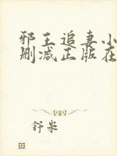 邪王追妻小说无删减正版在线阅读