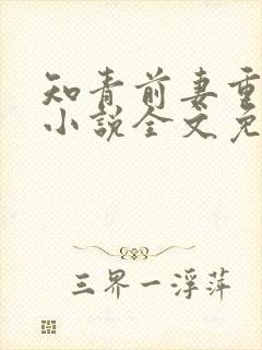 知青前妻重生了小说全文免费阅读