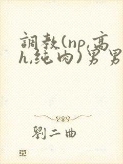调教(np,高h,纯肉)男男