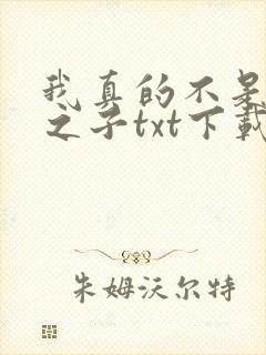 我真的不是气运之子txt下载完本