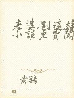 老婆,别这样 小说免费阅读