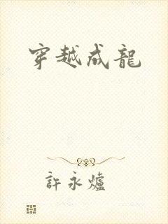 穿越成龙封面
