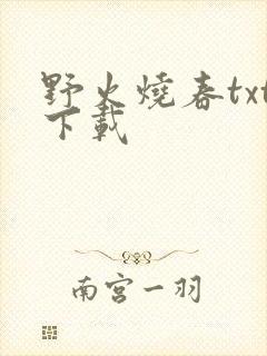 野火烧春txt下载