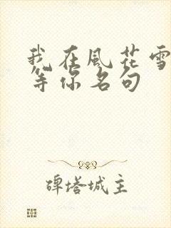 我在风花雪月里等你名句