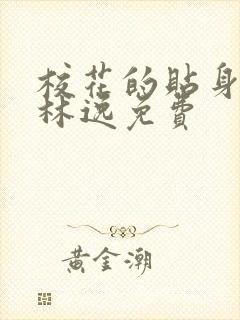 校花的贴身高手林逸免费封面