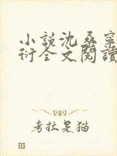 小说沈桑宁裴如衍全文阅读封面