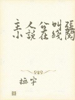 主人公叫张晨的小说在线阅读封面