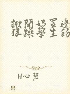掀开奶罩边躁狠狠躁学生的小文字封面