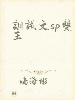 训诫文sp双男主