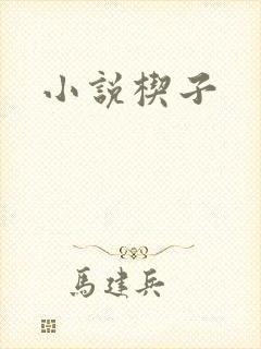小说楔子封面