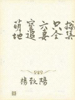 萌宝六只总裁爹地追妻全集