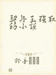 契丹王强取豪夺的小说封面