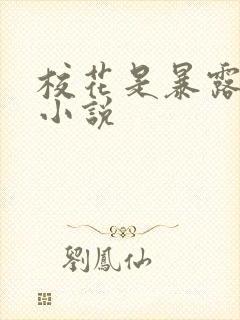 校花是暴露狂的小说