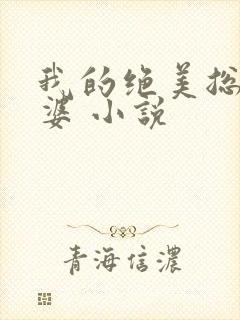 我的绝美总裁老婆 小说