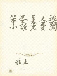笨蛋美人逃婚后小说免费阅读