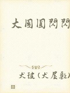 大团圆闪闪发光
