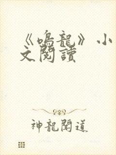 《鸣龙》小说全文阅读