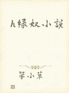 h绿奴小说