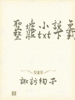 圣墟小说免费完整版txt下载封面