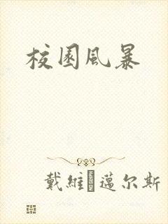 校园风暴封面
